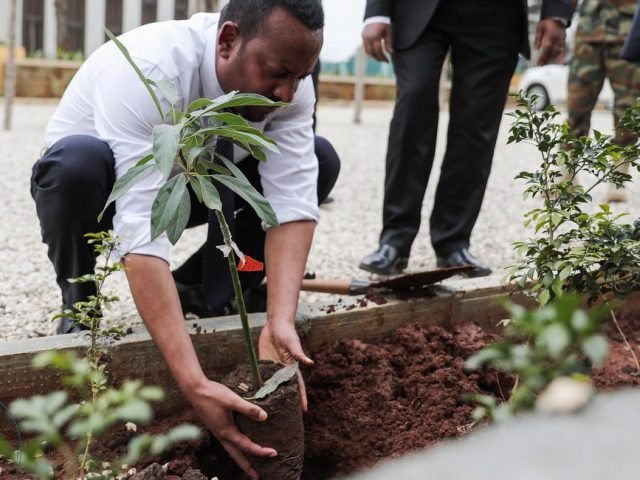 Παγκόσμια ρεκόρ...οικολογίας