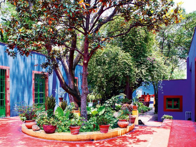 Σήμερα-κάνουμε-ένα-virtual-tour-στο-σπίτι-της-Frida-Kahlo-στο-Μεξικό3