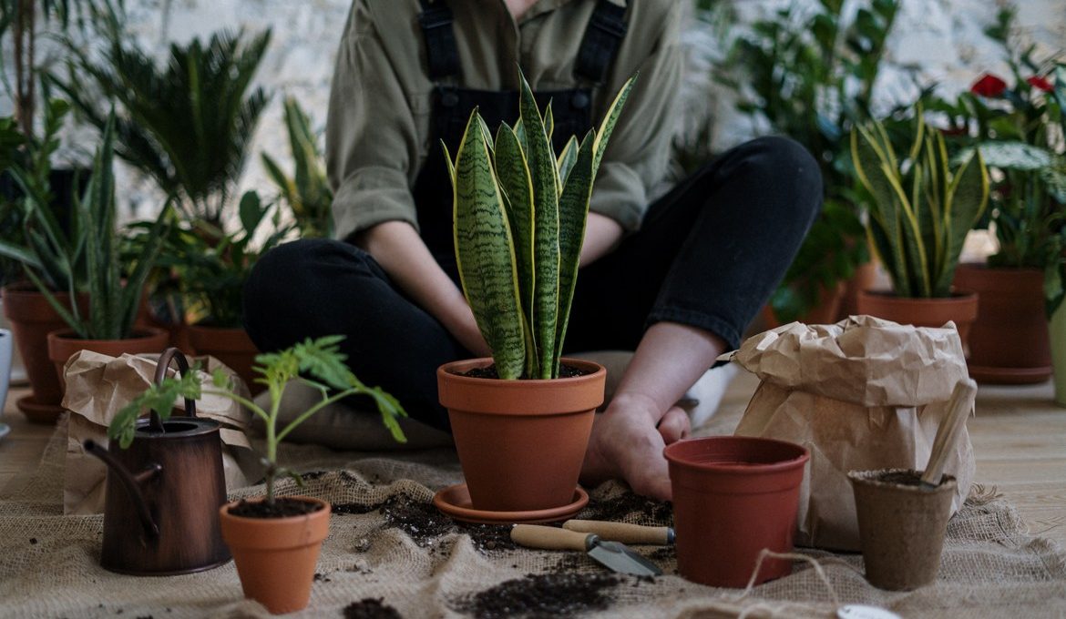 Οι Έλληνες plant lovers που πρέπει να γνωρίζεις