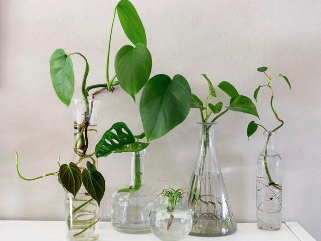 water propagation