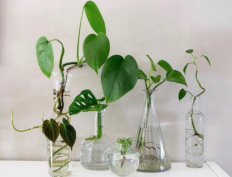 water propagation
