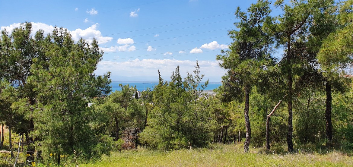 5 ιδέες για δραστήριες εξορμήσεις στη Θεσσαλονίκη