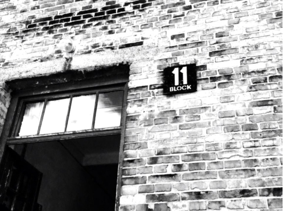 tempus verum _4