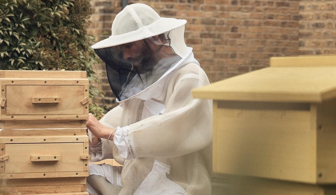 Bees & Refugees